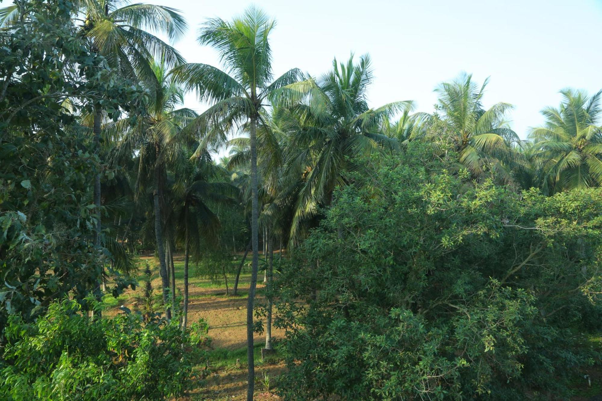 Misty Ocean - A Bergamont Group Of Hotel Kuilapalayam Exterior foto